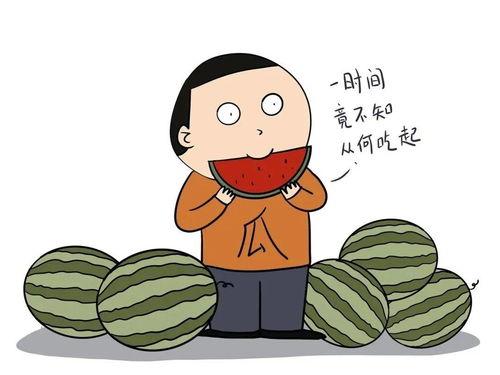 为什么老师说阿瓜,老师口中神秘角色的背后故事