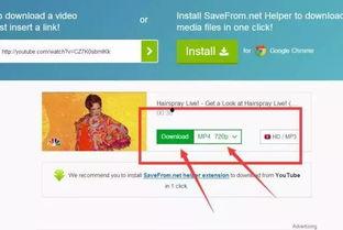 如何看头条视频收益比例