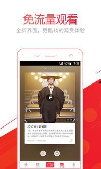 头条精英视频下载,轻松获取热门内容，畅享精彩瞬间