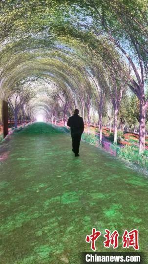 乌鲁木齐网红隧道价格表