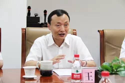 王军 明星,明星之路的璀璨历程