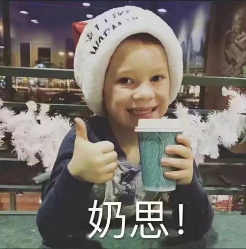 网红高迪儿子图片表情包,萌态可掬萌翻网友