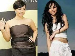 明星减肥照片,惊人蜕变背后的秘密