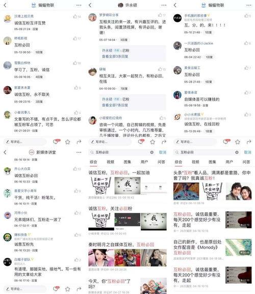 头条号发布ppt,头条号发布技巧全攻略