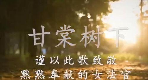 甘棠树下头条号,探寻历史与现代交融的精彩故事