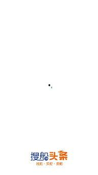 搜船头条,聚焦航运行业最新动态，深度解析市场热点