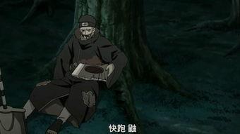 晓鼬技能爆料视频大全集