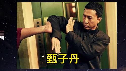 真功夫明星,闪耀舞台的武术传奇