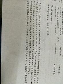 用网红歌曲做语文书名