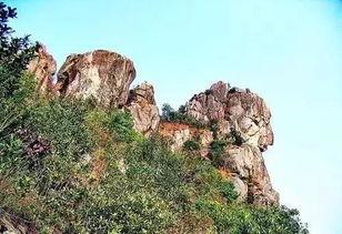 狮子山爆料时间最新消息