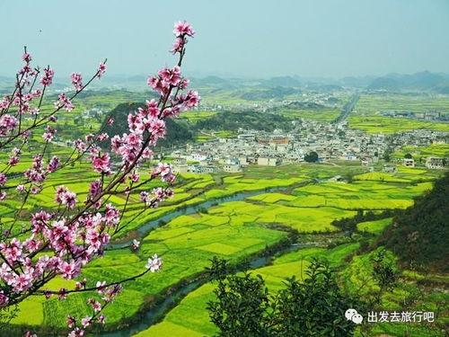 乡村振兴 头条号文章,探索新路径，共建美丽乡村新篇章