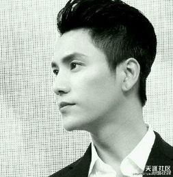 男明星的图片,探寻男明星的帅气瞬间