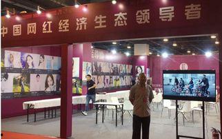 刘婉琳网红公司,打造网络新星的摇篮