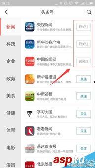 怎样加入到头条圈子,开启你的内容创作之旅