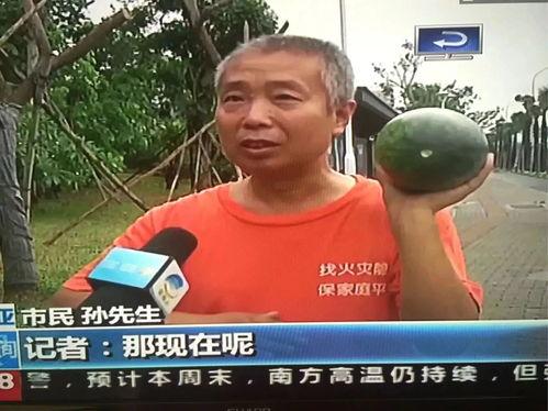 李新庄吃瓜群众事件