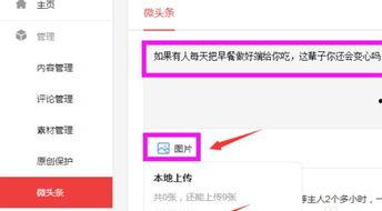 今日头条发布微头条,揭秘网红经济背后的秘密与机遇
